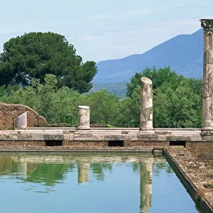 Heritage Sites Collection: Villa Adriana (Tivoli)