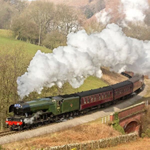 Trains Collection: The Flying Scotsman