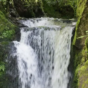 Geroldsau Waterfalll, Geroldsau part of the city of Baden Baden, Black Forest, Baden Wurttemberg, Germany, Europe