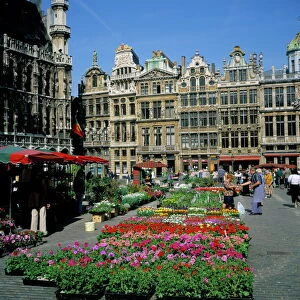 Grand Place, Brussels (Bruxelles), Belgium, Europe