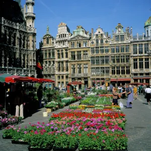 Grand Place, Brussels (Bruxelles), Belgium, Europe