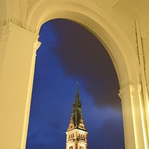 Hamburg City Hall in the Altstadt (Old Town)