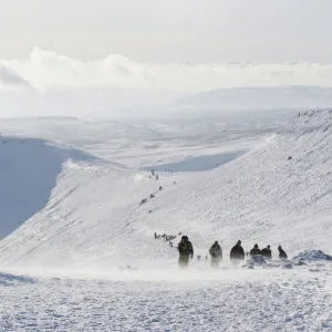 Hikers on snow covered Pen y Fan mountain, Brecon Beacons National Park