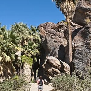 Hiking in Andreas Canyon, Indian Canyons, Palm Springs, California, United States of America