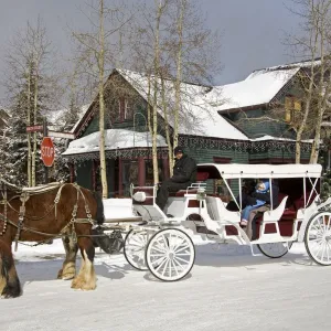 Horse and carriage