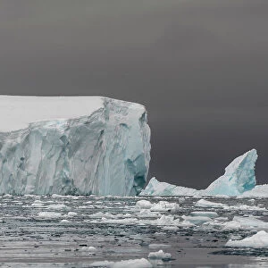 Icebergs in Curtiss Bay, Antarctica, Polar Regions