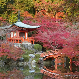 Sights Collection: Kyoto Garden