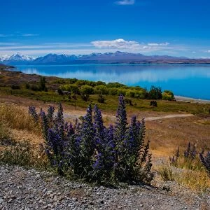 Lake Tekapo looking across to Ben Ohau, South Island, New Zealand, Pacific