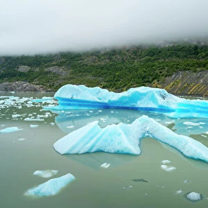Large chunks of ice broken off Glaciar Grey floating in Lago Grey, Torres del Paine National Park, Patagonia, Chile, South America