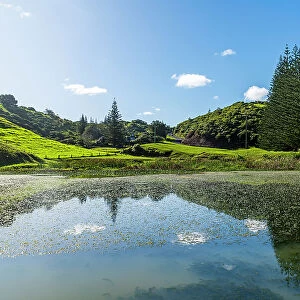 Little Pond in Arthurs Vale, Unesco world heritage site Norfolk island, Australia