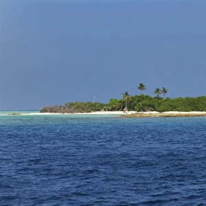 Madivaru island, Rasdhoo atoll, Maldives, Indian Ocean, Asia