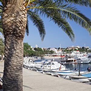 Marina and promenade, Baska Voda, Makarska Riviera, Dalmatia, Croatia, Europe