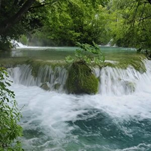 Milke Trnine waterfall overhung by trees at Plitvice Lakes National Park, UNESCO World Heritage Site, Croatia, Europe