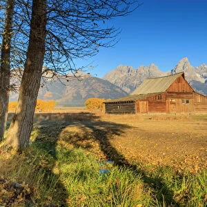 Mormon Row barn on a clear Autumn (Fall) morning, Antelope Flats, Grand Teton National Park, Wyoming, United States of America, North America