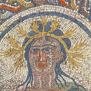 Mosaic detail from the House of Dionysus, Volubilis, UNESCO World Heritage Site, Morocco, North Africa, Africa