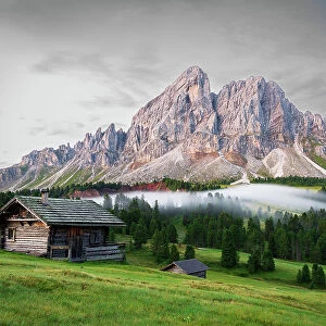 Mountain huts among green woods with fog in the morning, Sass De Putia, Passo delle Erbe, Dolomites, South Tyrol, Italy, Europe