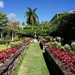 Nevis Botanical Garden, Nevis, St. Kitts and Nevis, Leeward Islands, West Indies
