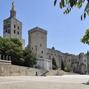 Notre Dame des Doms Cathedral and Palais des Papes, UNESCO World Heritage Site