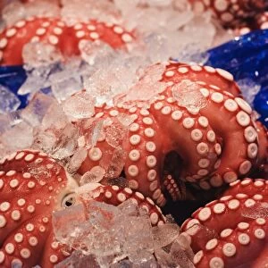 Octopus at Tsukiji fish market, Tokyo, Honshu Island, Japan, Asia
