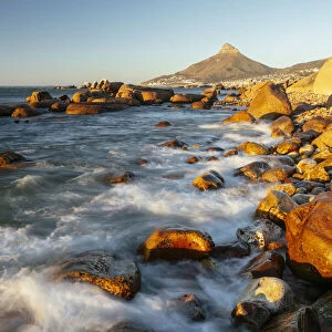 Oudekraal, Cape Town, Western Cape, South Africa, Africa