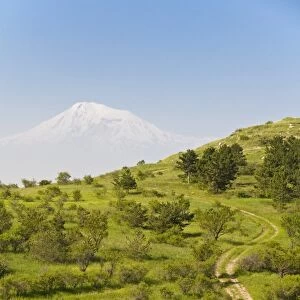 Path leading to Mount Ararat, Armenia, Caucasus, Central Asia, Asia