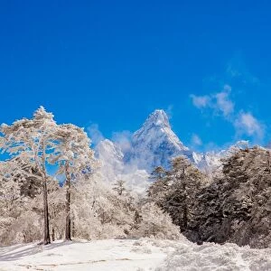 Peak of Mount Everest with snow covered forest, Himalayas, Nepal, Asia