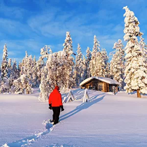Person stands in front of an isolated mountain hut among trees covered with snow, Swedish Lapland, Norrbotten, Sweden, Scandinavia, Europe