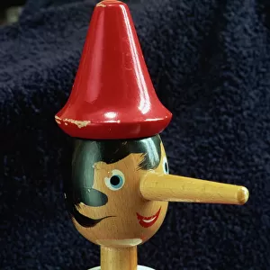 Didelphidae Collection: Pinocchio