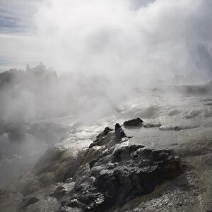 Pohutu geyser erupting steaming water from sulphurous mud and rock in Te Puia