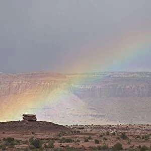 Rainbow, Canyon Country, Utah, United States of America, North America