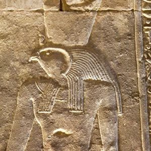 Relief of the God Horus, Temple of Horus, Edfu, Egypt, North Africa, Africa