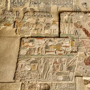 Reliefs, Sanctuary of Amun-Re, Hatshepsut Mortuary Temple (Deir el-Bahri)