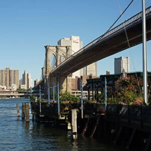 Sights Collection: Brooklyn Bridge