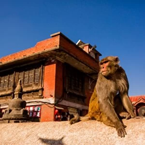 Sacred Monkey Temple, Kathmandu, Nepal, Asia