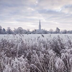 Salisbury Cathedral at dawn in winter, Salisbury, Wiltshire, England, United Kingdom