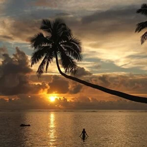 Silhouette of leaning palm trees and a woman at sunrise on Taveuni Island, Fiji, Pacific
