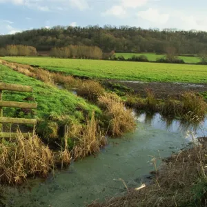 Somerset Levels, Somerset, England, United Kingdom, Europe