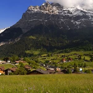 Spring alpine flower meadow and chalets