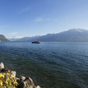 Spring flowers, Lake Geneva (Lac Leman), Montreux, Vaud, Switzerland, Europe