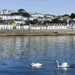 St. Mawes, Cornwall, England, United Kingdom, Europe