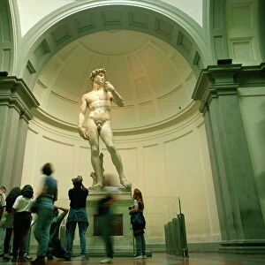Michelangelo Buonarroti Collection: David (sculpture)