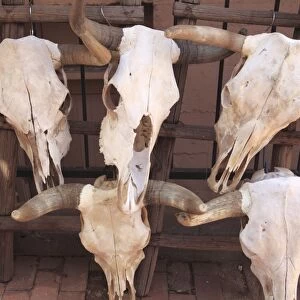 Steer skulls for sale, Santa Fe, New Mexico, United States of America, North America