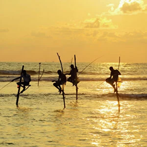 Stilt fishermen, Dalawella, Sri Lanka, Indian Ocean, Asia