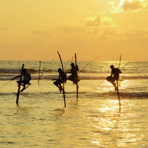 Stilt fishermen, Dalawella, Sri Lanka, Indian Ocean, Asia