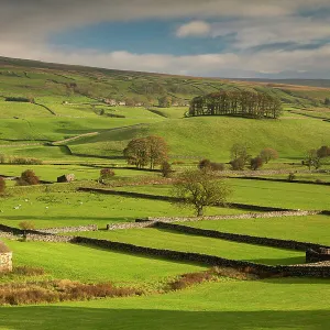 Stone barns and dry stone walls in beautiful Wensleydale in the Yorkshire Dales National