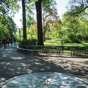 Manhattan Collection: Central Park