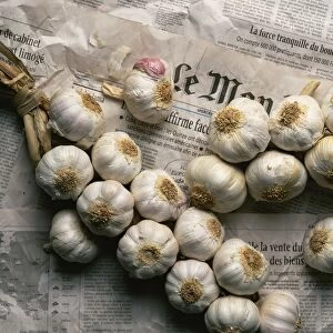 Strings of garlic spread out on Le Monde newspaper in France, Europe