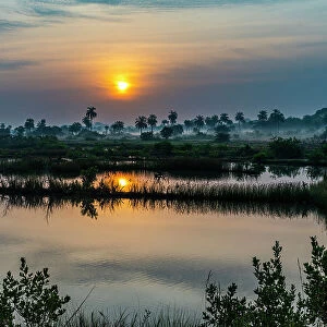 Sunrise in the Casamance, Senegal, West Africa, Africa