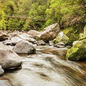 Suspension Bridge over Wainui River, Wainui Falls Track, Golden Bay, Tasman, South Island