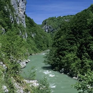 Tara Canyon and Tara River, Tramontana, Montenegro, Europe